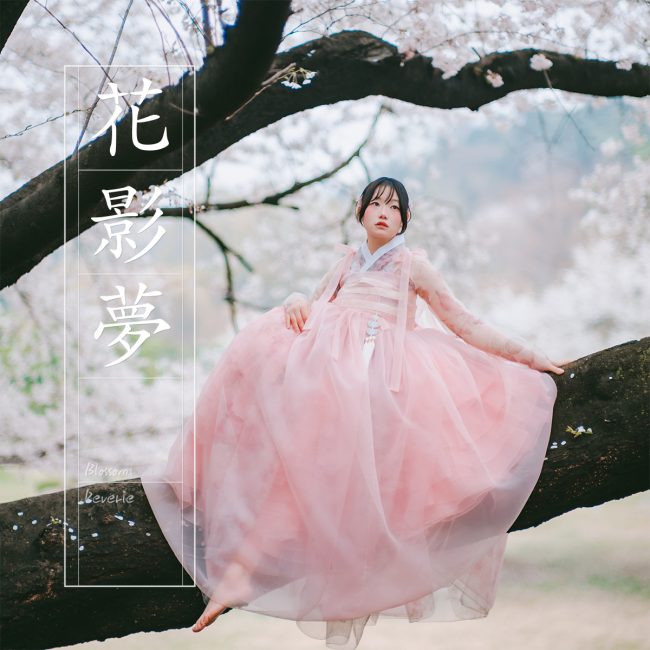 Blossom Reverie